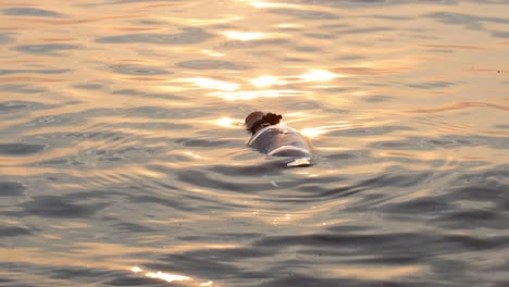 message in the bottle against the sun setting down