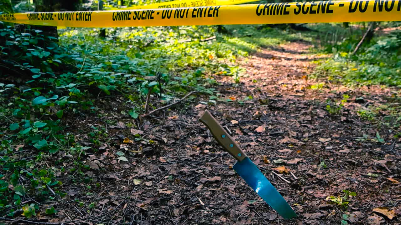 Close up footage of a shiny kitchen knife stabbed in a leaf covered hiking trail during summer or autumn and a yellow Crime Scene police caution taped pulled around it during sunny day. Wooden handle