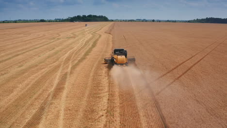 little yellow harvester machine riding by the field and leaving the mowed trail. approaching the combine from behind. beautiful landscape at backdrop.