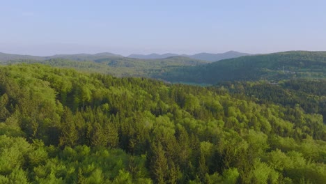 widok z powietrza wzgórz z zielonymi lasami w parku narodowym jezior plitvice w chorwacji, europa