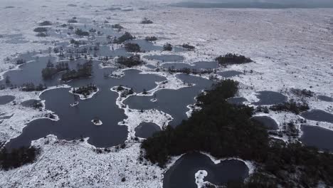 aerial drone view of a group of bog lakes in the middle of a bog covered with snow