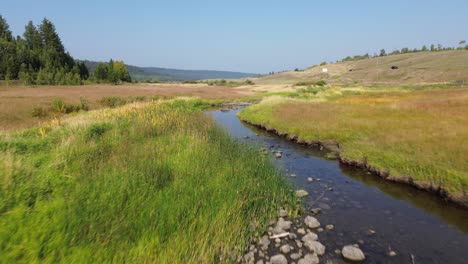 aerial drone follows stream along cariboo highway near 127 mile house, bc, canada