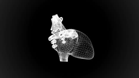 the human heart in the form of particles and plexus.