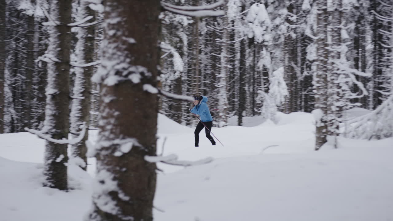 esquí de fondo en el bosque nevado