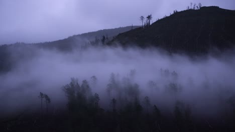 Clouds-over-forest-and-fog-rising-out-of-trees-at-monring-hazy-mist