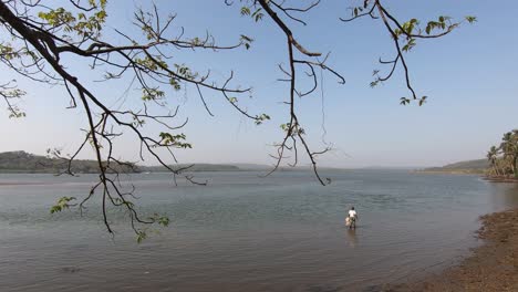 lake view of goa through tree branches. local guys from goa standing close to the lake