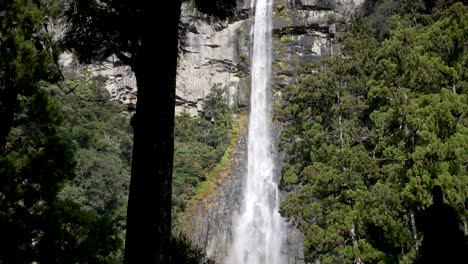 nachi falls creates a stunning spectacle as it plunges down a rocky cliff face, surrounded by the vibrant green foliage of a dense forest in nachikatsuura, japan