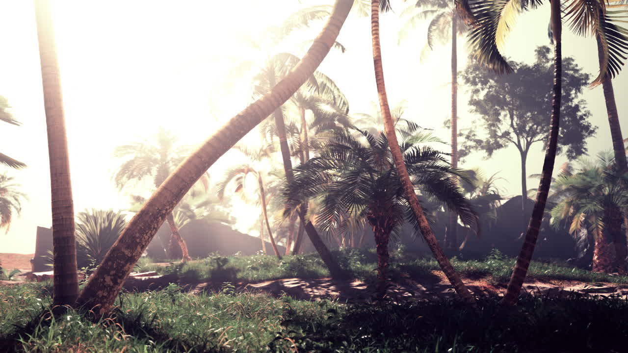 야자수와 열 대 해변