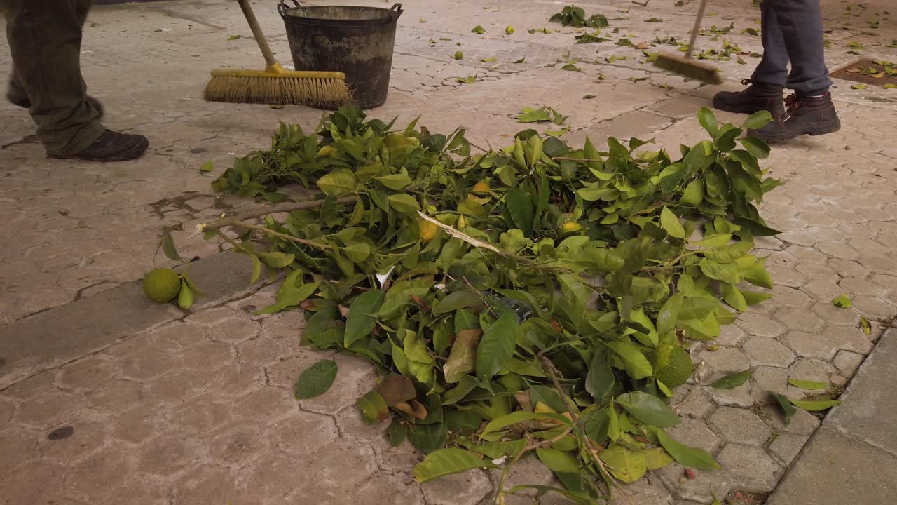 hombres barriendo hojas de naranjos en pila, cámara lenta de cerca