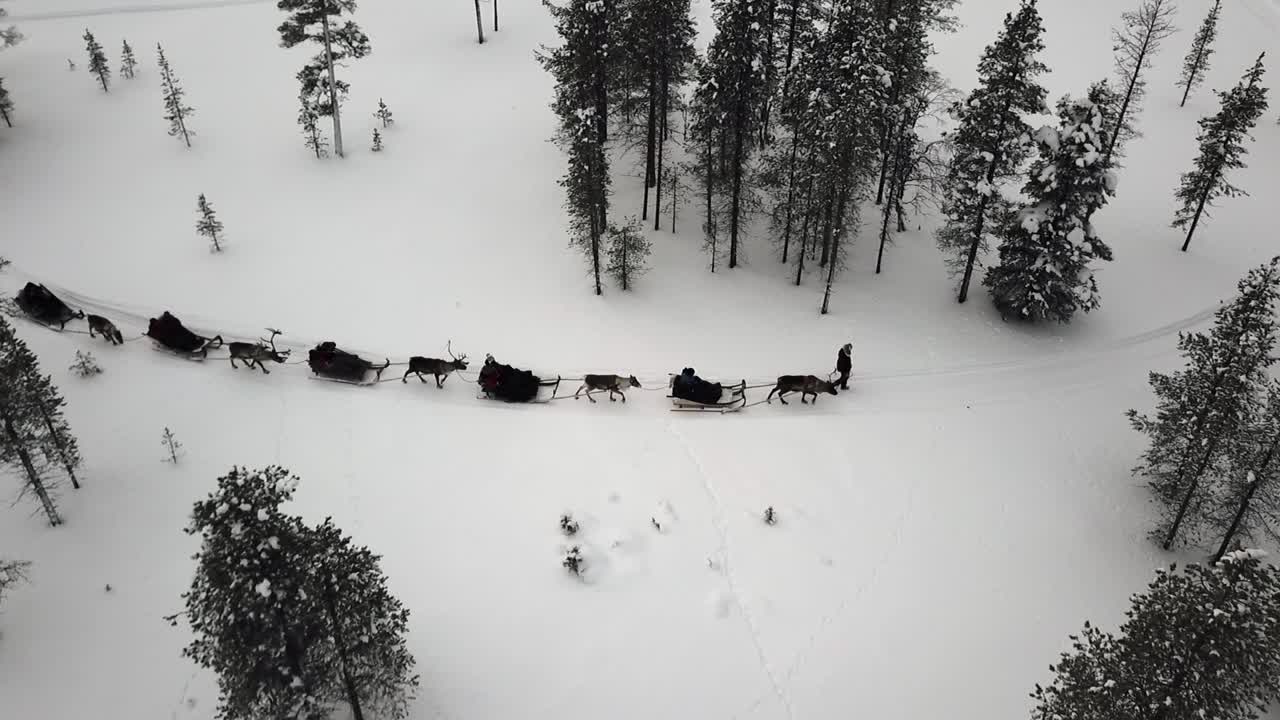 vista de drones de trineo de renos en saariselka, laponia, finlandia