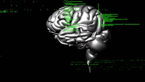 Digitales-Menschliches-Gehirn