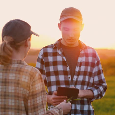 Dos-Agricultores-Exitosos-Trabajan-En-Un-Campo-Y-Usan-Una-Tableta-1