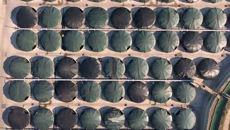 land-based aquaculture - sea farm hatchery cage and facility in camariñas, a coruña, spain