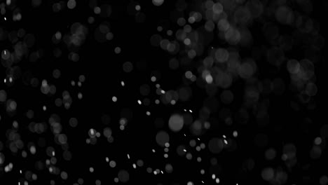 superposición de partículas de nieve en un fondo súper negro