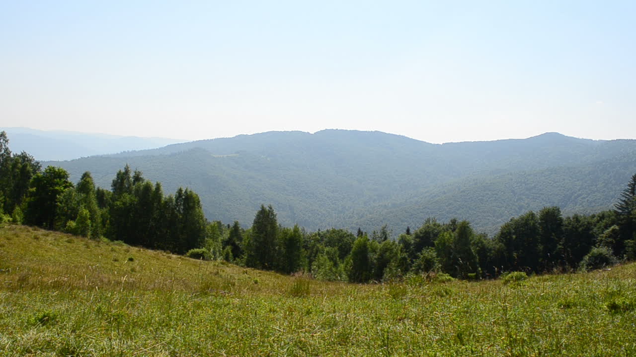 Fjellbeite. Sommerbeite.