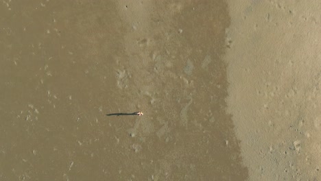 Two-people-walking-on-the-mud-flat