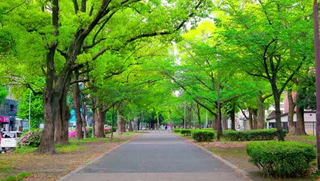 the best view in yokohama