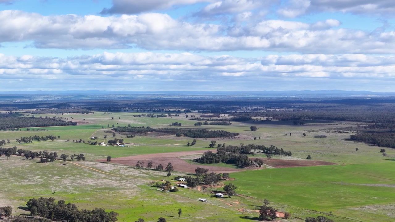 Bredt luftfoto af grønne marker og eukalyptustræer under en overskyet himmel i Australien
