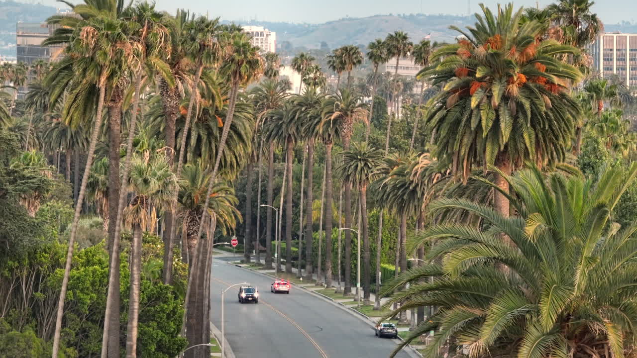 Classica strada di Beverly Hills fiancheggiata da palme, riprese con drone di una strada in un quartiere di lusso.