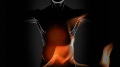 animation of flames over human body model