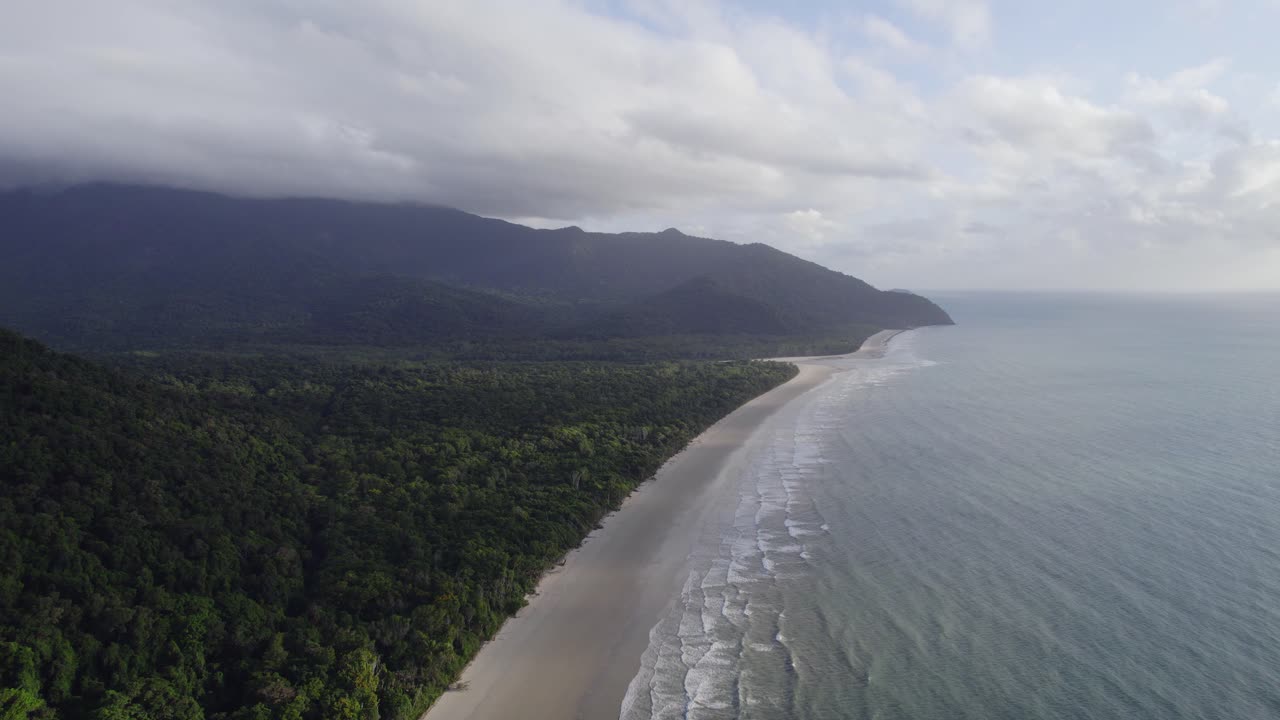 playa idílica y vegetación exuberante en el parque nacional daintree, lejano norte de queensland, australia - toma aérea de drones