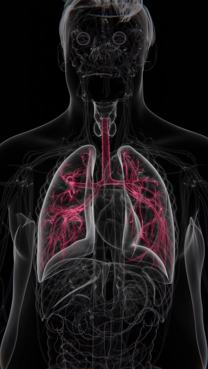 La fibrosi cistica è una malattia genetica che colpisce i polmoni e il sistema digestivo, caratterizzata dalla produzione di muco denso e appiccicoso che può compromettere la respirazione e la funzione degli organi, in formato verticale.