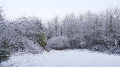 small english garden covered in heavy white fluffy snow