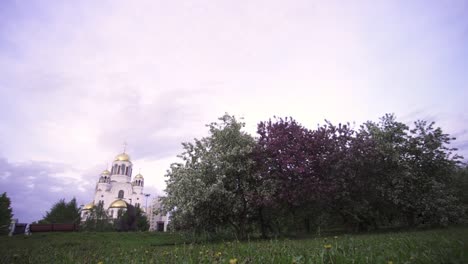 park with a church and blossom trees