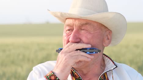 a lonely talented elderly man in ukrainian national clothes plays the harmonica a lonely talented elderly man in ukrainian national clothes plays the mouth organ harmonica sits in the middle of the field grandfather in an embroidered shirt