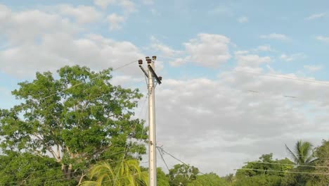 encuesta de comunicación de servicio en la isla de trinidad y tobago 60 cuadros por segundo usando dji mavic air
