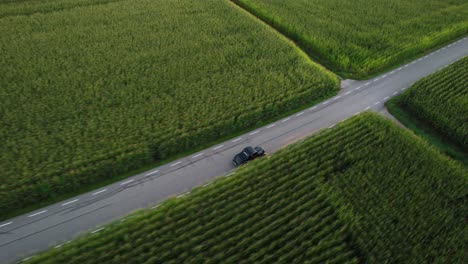 Un-Coche-Antiguo-Negro-Circula-Por-Una-Carretera-Que-Atraviesa-Un-Campo-De-Maíz