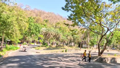 a scenic drive through a lush zoo