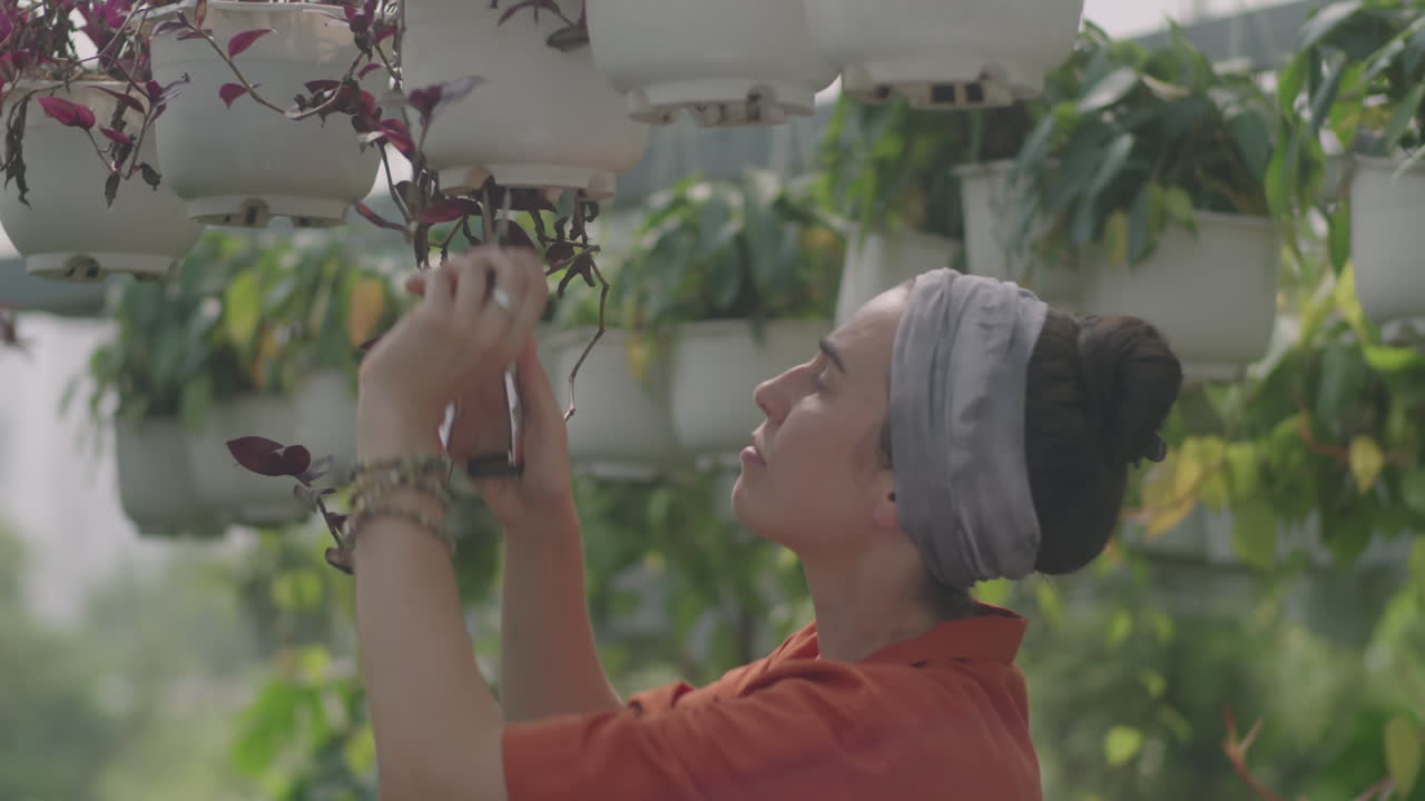 Female Plant Nursery Worker Pruning Plants