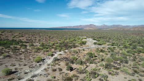 Litter-Strewn-Along-the-Roadside-Amidst-the-Desert-Scenery-of-Mulege,-Baja-California-Sur,-Mexico---Drone-Flying-Forward