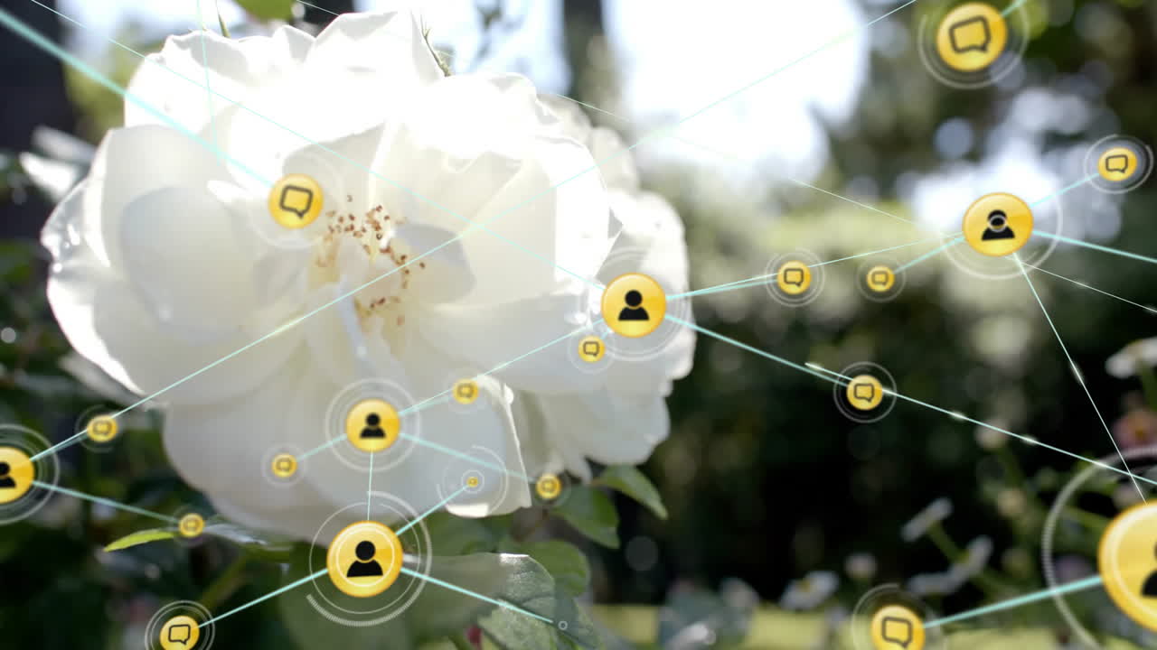 사람들과의 연결망의 애니메이션: 꽃 위에 있는 아이콘