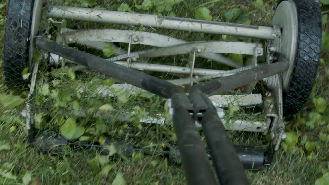 푸시 잔디 깎는 기계를 사용하여 잔디를 자릅니다.