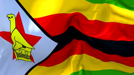 zimbabwe flag waving in wind slow motion animation . 4k realistic fabric texture flag smooth blowing on a windy day continuous seamless loop background.