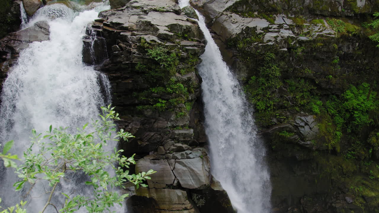 Cataratas del bosque