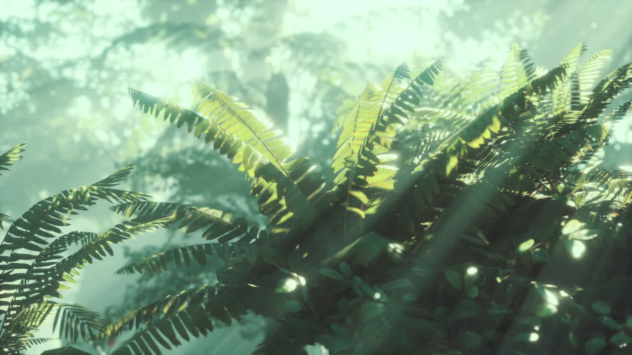 bosque lluvioso exuberante con niebla matutina