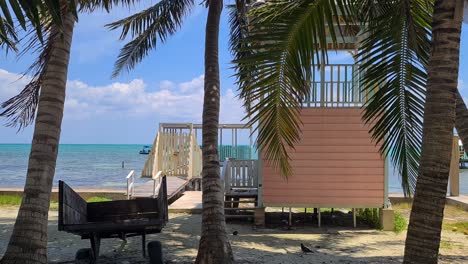 belize, central america. beachfront patio and pier behind shades of palm trees with caribbean sea horizon