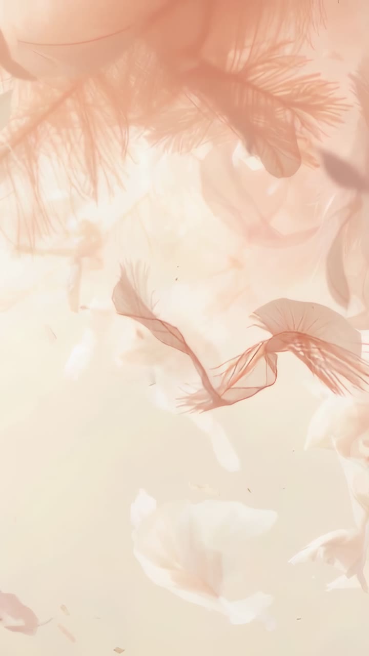 Video verticale: piuma fluttuante che entra in alto a sinistra, guidando delicati petali attraverso una calda foschia da studio
