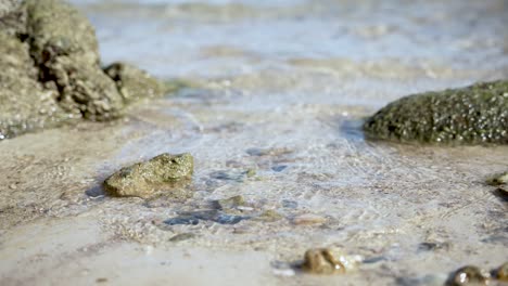 el agua cristalina fluye suavemente sobre las rocas y la arena de la playa en un día soleado junto al océano, las olas crean espuma a lo largo de la costa en un paisaje marítimo sereno perfecto para unas vacaciones tropicales o vacaciones de verano