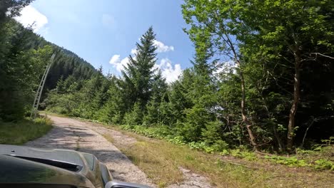 video shot driving through the mountain forests.