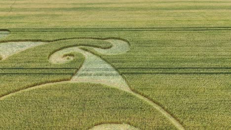 etchilhampton swirling mandala crop circle close up aerial view rising over wiltshire wheat field