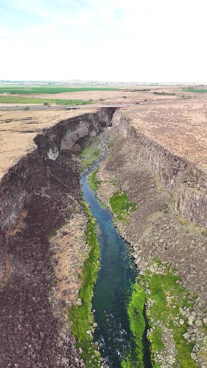 Filmato epico verticale 9x16 da drone della Gola di Malad, USA. Sorvolo aereo cinematografico di un profondo canyon di basalto vulcanico e di una suggestiva pianura fluviale desertica. Perfetto b-roll per TikTok, Instagram Reels e Shorts.