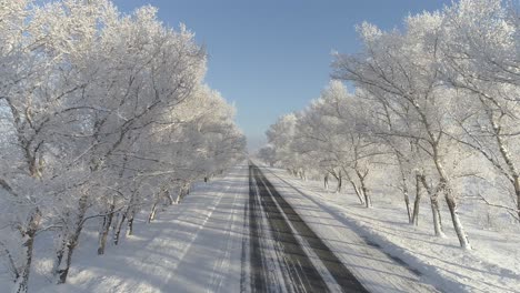 a snowy road through a forest in winter