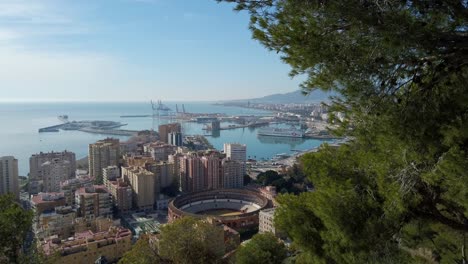 Reveal-behind-trees-of-malaga-spain-cityscape