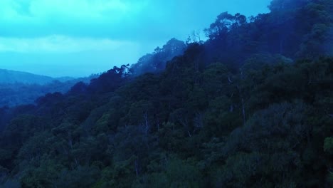 experience the enchanting beauty of kerala forest fog night with this mesmerizing nature view