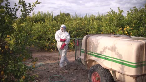 farmer spray insecticide, pesticide, pesticides or insecticides spraying on lemon trees agricultural field in spain