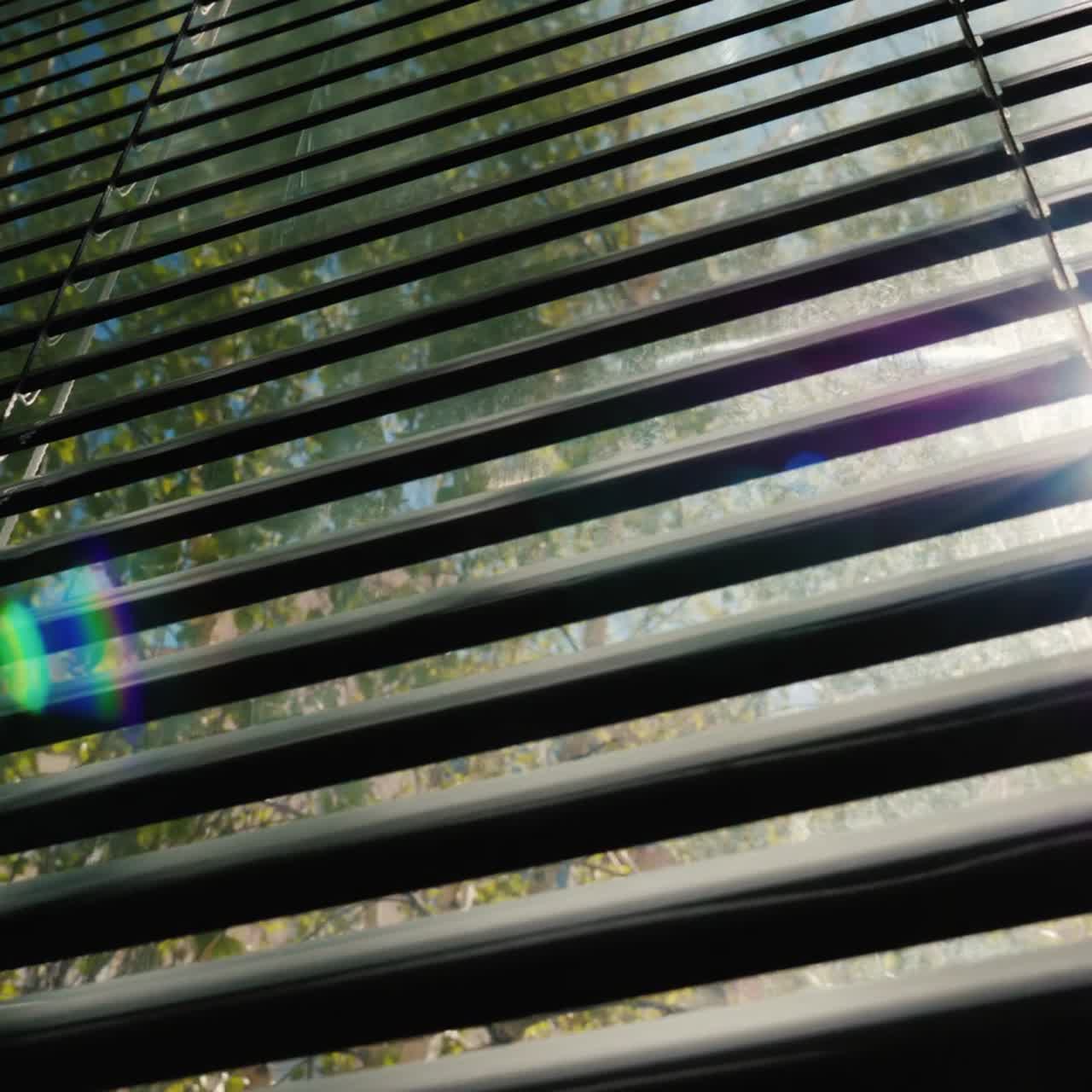 The Spring Sun Shines Through The Half-Closed Jalousie